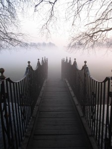 Into the fog by raindog